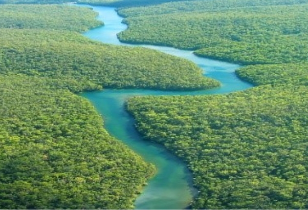 Nature-Based Solutions (NBS)