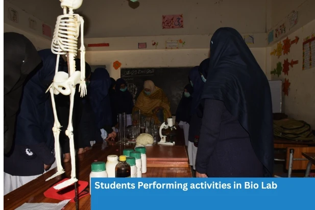 Students performing activities in the biology lab